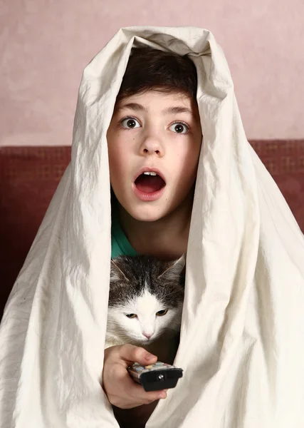 Menino com gato assistir filme de terror — Fotografia de Stock