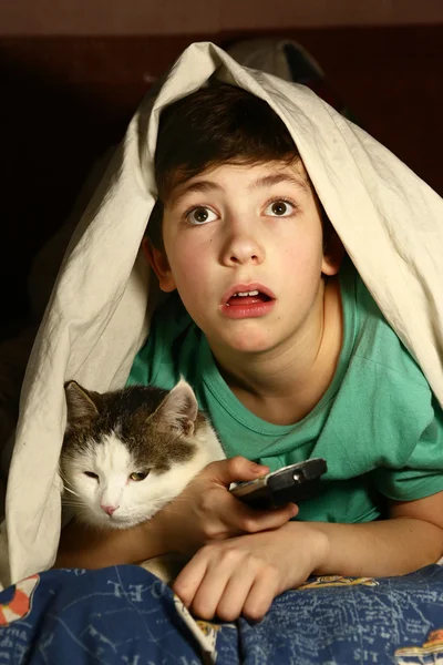 Мальчик с кошкой смотрят фильм ужасов — стоковое фото
