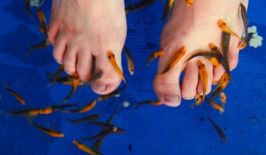 ayak peeling Balık Akvaryum yordamda geçmesi