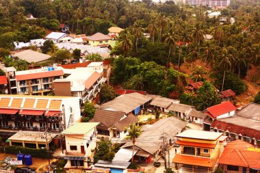 kiremitli çatıları ve palmiye orman Asya küçük beldesi