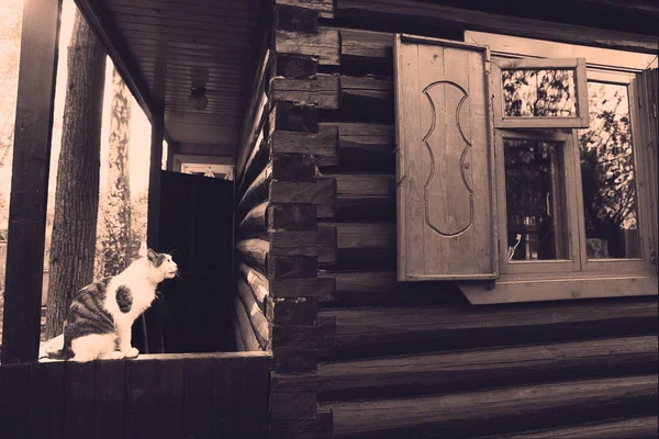 Foto retro de casa com janela e gato — Fotografia de Stock