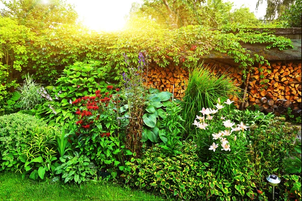 Beau jardin d'été européen — Photo