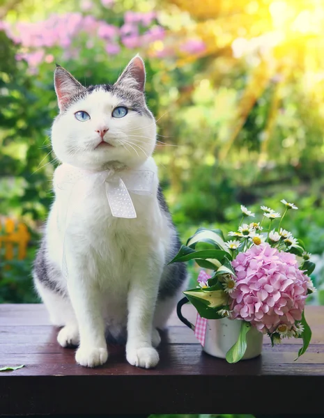Cat with bouquet in the beautiful carden close up — Stock Photo, Image