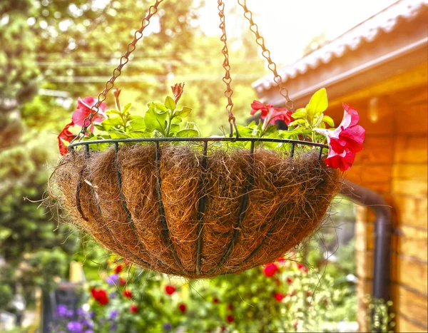 Stilvoller Blumenkorb hängt im Sommergarten — Stockfoto