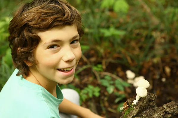 Мальчик в лесу с пухлыми грибами — стоковое фото