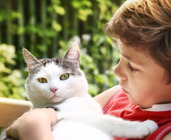 Мальчик и кошка фото на открытом воздухе — стоковое фото