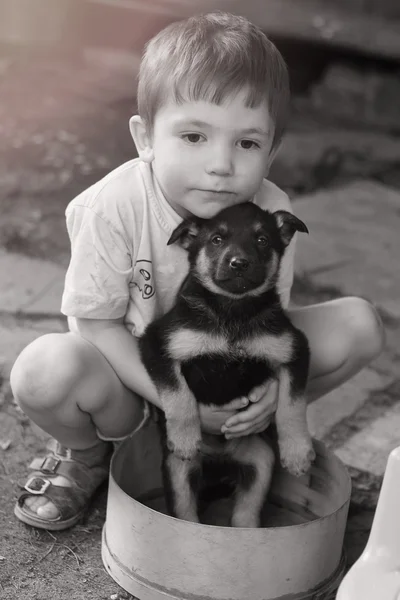 Malý chlapec a ovčák štěně zblízka venkovní — Stock fotografie