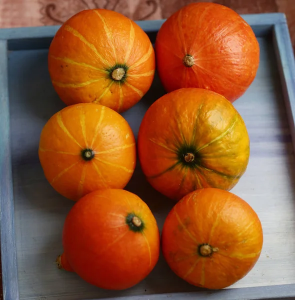 Pequeña calabaza naturaleza muerta halloween foto de primer plano —  Fotos de Stock