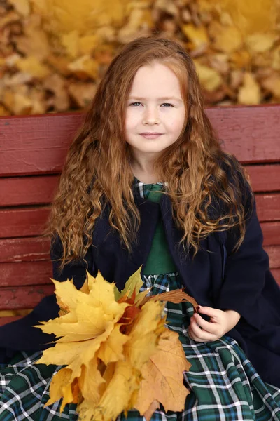 Irlandés niña al aire libre foto en otoño paisaje fondo — Foto de Stock