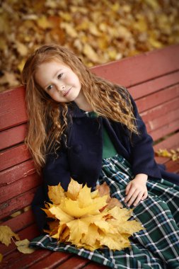 Sonbahar manzarasında İrlandalı küçük bir kız resmi. Yüksek kalite fotoğraf