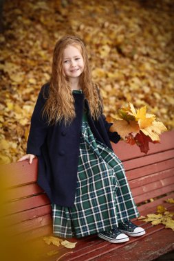 Sonbahar manzarasında İrlandalı küçük bir kız resmi. Yüksek kalite fotoğraf