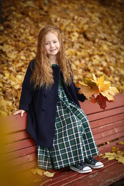 Menina Irlandesa Foto Livre Fundo Paisagem Queda Foto Alta Qualidade — Fotografia de Stock