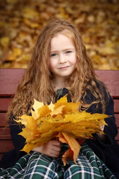 Irlandés Niña Aire Libre Foto Fondo Del Paisaje Otoño Foto — Foto de Stock