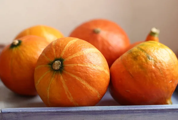 Petite Citrouille Nature Morte Halloween Gros Plan Photo — Photo