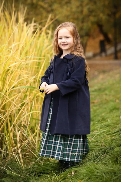 Ирландская Маленькая Девочка Открытом Воздухе Фото Фоне Осеннего Пейзажа Высокое — стоковое фото