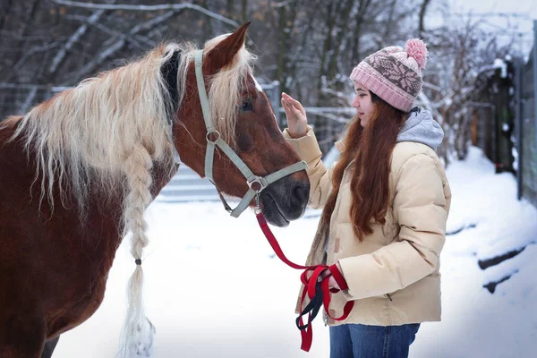 Teenager Girl Long Brown Hair Chestnut Horse Plaited Mane Close — Stock Photo, Image