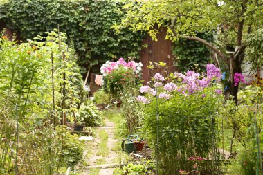 Kristal vazoda pembe ve beyaz çiçek buketi yeşil bahçe arka planında yakın fotoğraf