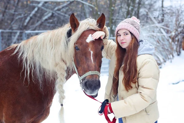 Adolescente Com Cabelos Castanhos Longos Cavalo Castanho Com Crina Entrançada — Fotografia de Stock