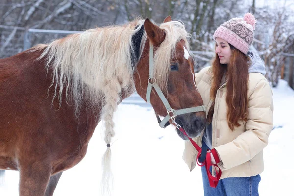 Teenager Girl Long Brown Hair Chestnut Horse Plaited Mane Close — Stock Photo, Image