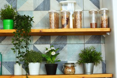 Saksı bitkileri, kap kekler, bezelyeler ve kabın içindeki fasulye parçacıkları.