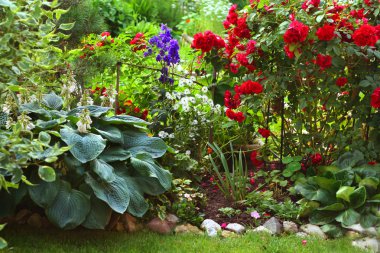 renkli bir resmi Bahçe yeşil çim. Güzel bahçe.