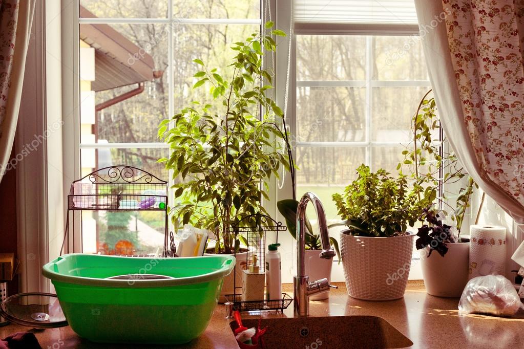 Kitchen window garden view plants — Stock Photo © Ulianna #55741587