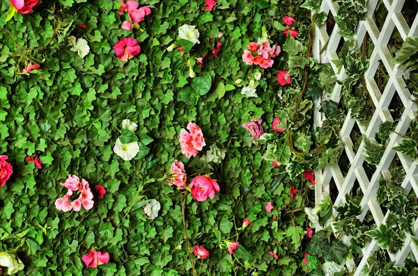 Hedge with plush, flowers and wooden greed — Stock Photo, Image