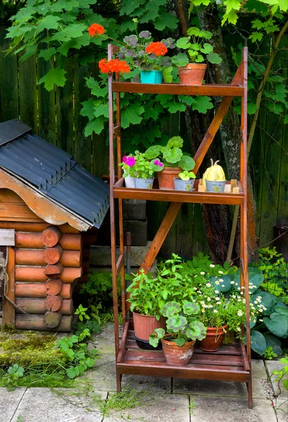 Fragmento de belo jardim com casa de cachorro — Fotografia de Stock