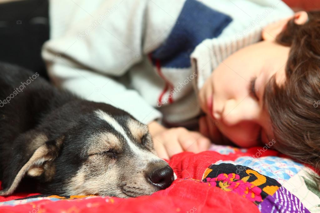 boy and little puppy sleep on the bed