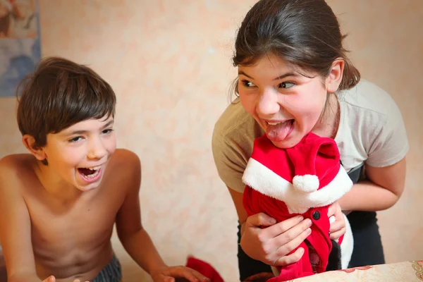 Naughty brother and sister dress cat in santa klaus costume — Stock Photo, Image