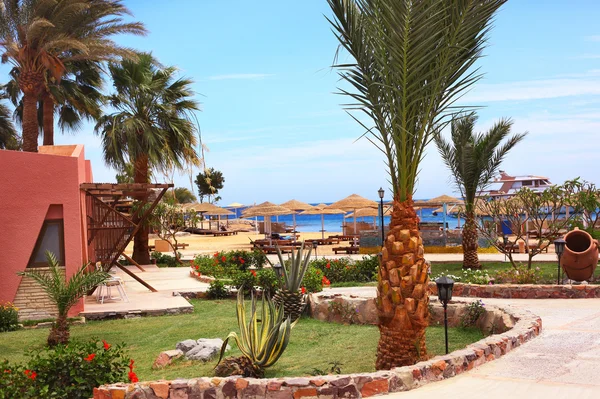 Beach Otel resort dış palmiye ağacı ve deniz ile — Stok fotoğraf