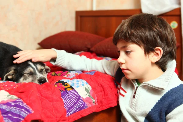 Preteen menino bonito e cachorro pastor — Fotografia de Stock