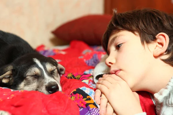 Preteen menino bonito e cachorro pastor — Fotografia de Stock