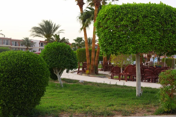 Exterior del complejo hotelero playa con hermoso jardín tropical con — Foto de Stock