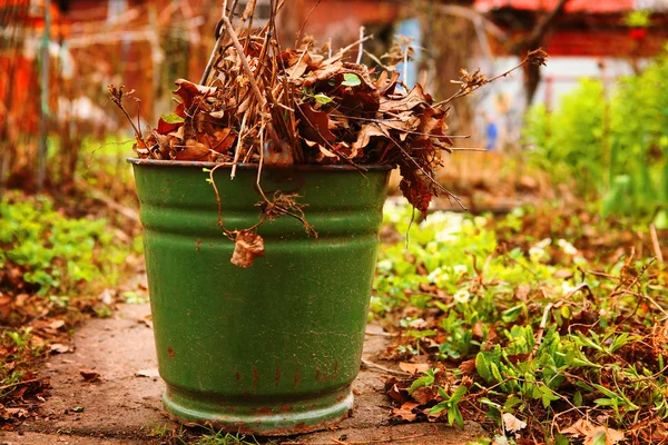 Hojas viejas y ramas en el cubo de hierro verde en el spri país — Foto de Stock