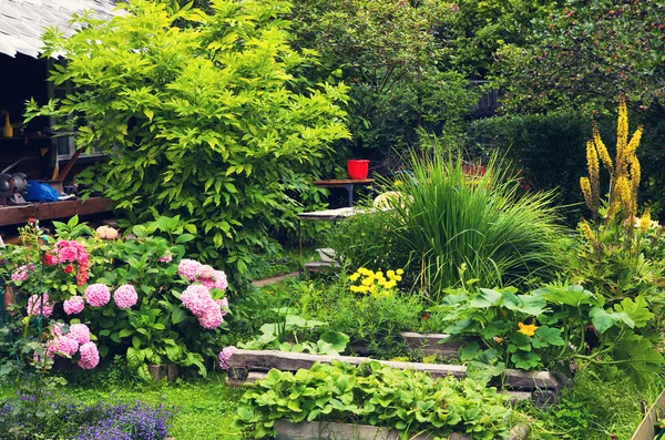 Beau jardin d'été conçu — Photo