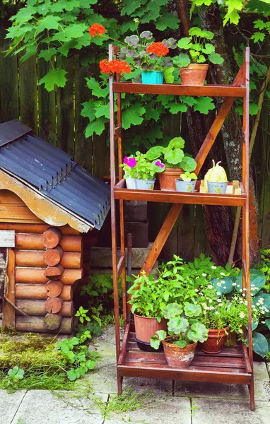 Belo verão projetado jardim com casa de cachorro e rack de madeira — Fotografia de Stock