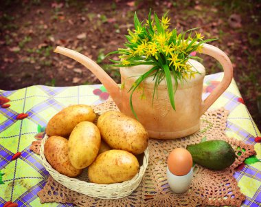 country stiled outdoor still life with watering can potato avoca clipart
