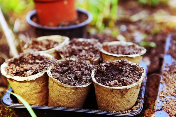 Macetas con tierra para brotes de jardín en el campo de primavera al aire libre — Foto de Stock