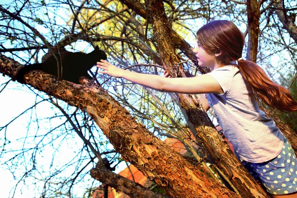 Adolescente hermosa chica ayudar negro gato subir abajo el árbol en th — Foto de Stock