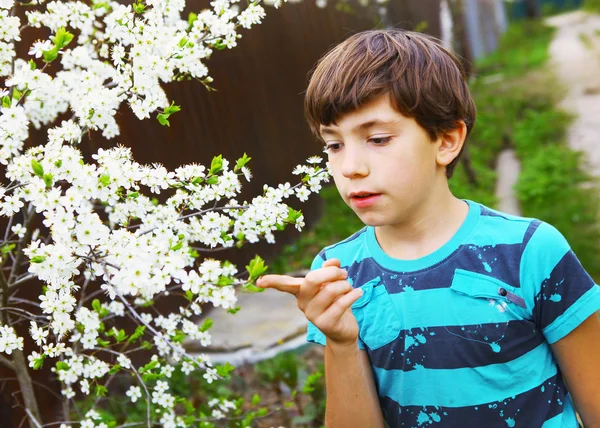Preteen handsome boy found and investigate ladybird among cherry — Stock Photo, Image