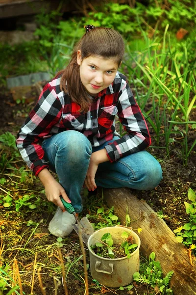 Nedospělý krásnou dívku pěstovat klíčky na jaře trh zahrada — Stock fotografie