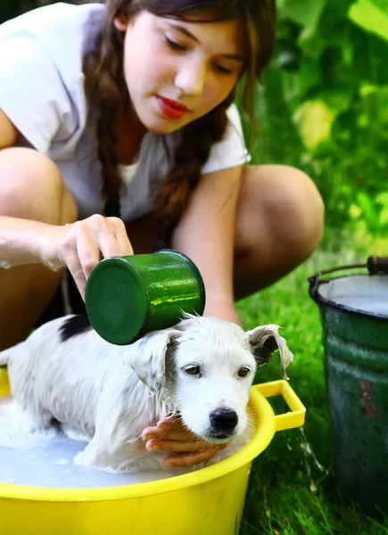 Crianças lavar cachorro branco vadio na bacia amarela no fundo do jardim de verão — Fotografia de Stock