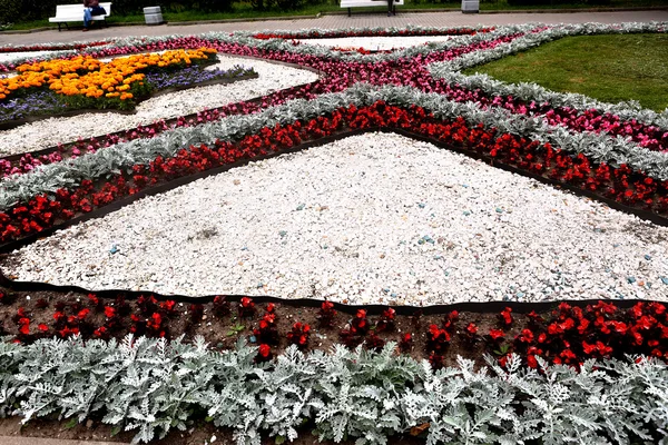 Lit fleuri dans le parc d'été de la ville — Photo