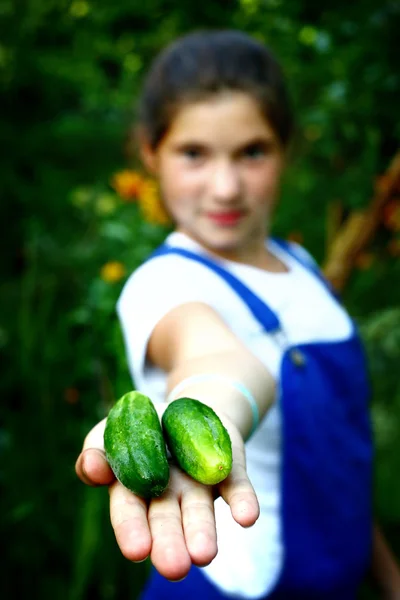 Teen beautiful girl with ripe just from seedbed cucumbers — Stock Photo, Image