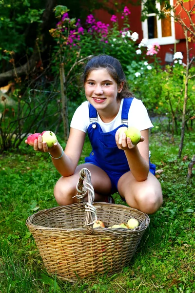 Teen  pretty girl collect apples from the tree — Stock Photo, Image