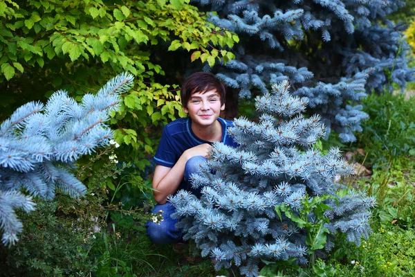Városliget nyári fiú és kék fenyő fa — Stock Fotó