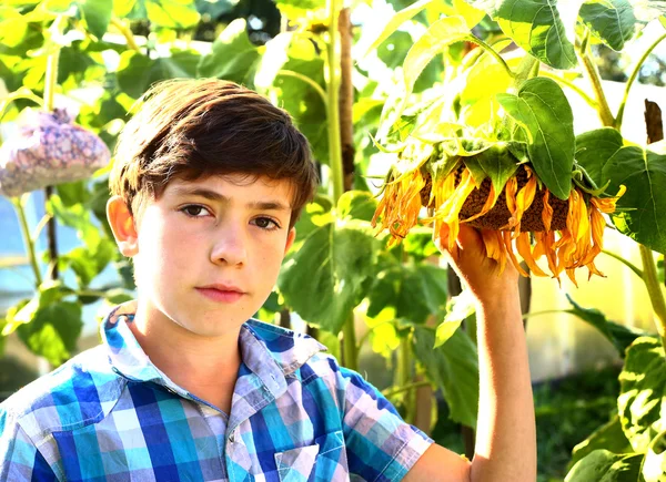 Preteen handsome boy with sunflower summer outdoor portrait — Stock Photo, Image