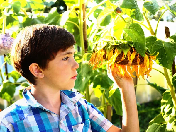 Preteen handsome boy with sunflower summer outdoor portrait — Stock Photo, Image