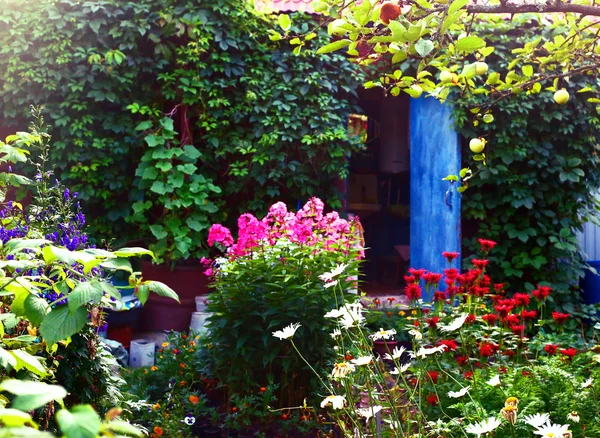 Schöner Sommer gestalteter Garten mit Blumen und — Stockfoto